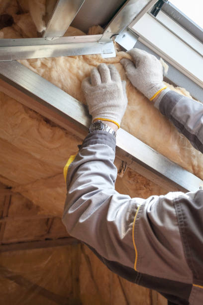 Best Insulation Replacement Services  in New Lisbon, WI