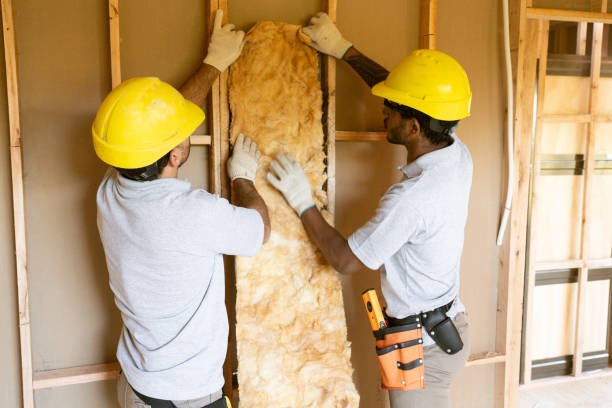 Best Attic Insulation Installation  in New Lisbon, WI